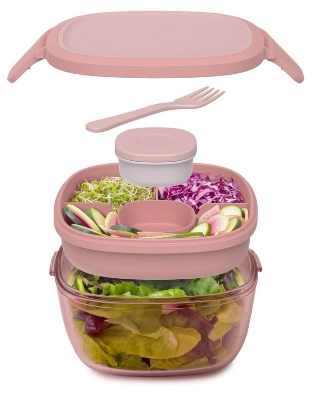 Bentgo All in One Salad Container